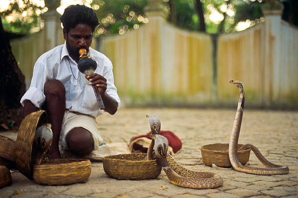 schlangenbeschwörer - cobra people india snake stock-fotos und bilder