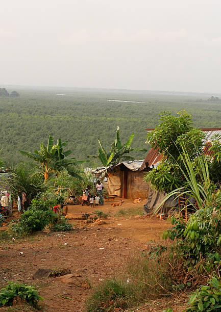 African Shacks Overlooking Rainforest Congo Town, Liberia - January 5, 2010. A small community of shack-homes overlooking the beautiful rainforest. The majority of Liberians live in similar conditions. banana tree stock pictures, royalty-free photos & images