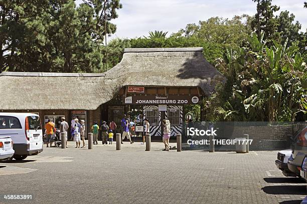 Zoo Di Johannesburg - Fotografie stock e altre immagini di Johannesburg - Johannesburg, Zoo - Struttura con animali in cattività, Albero
