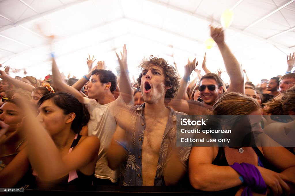 Euphorique une foule de fans en délire au festival de musique - Photo de Foule libre de droits