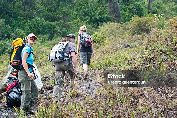 Photo libre de droit de Groupe De Touristes Cest Grimper Mont Volcan Niragongo Congo banque d'images et plus d'images libres de droit de Mont Nyiragongo