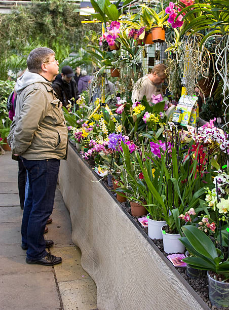 Orchid exhibition in Potsdam stock photo