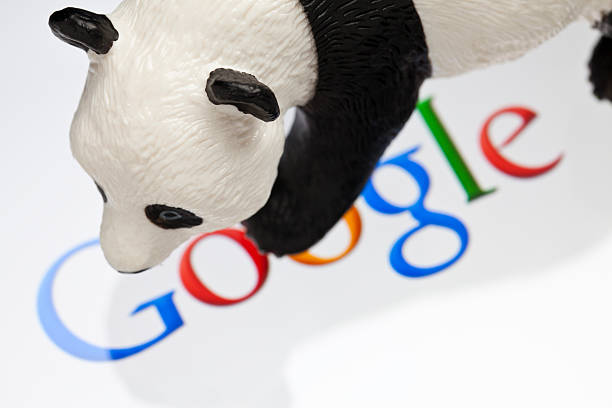 google panda y penguin - google panda fotografías e imágenes de stock