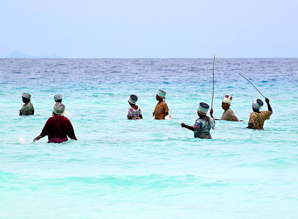 pesca a nungwi - africa agriculture zanzibar industry foto e immagini stock