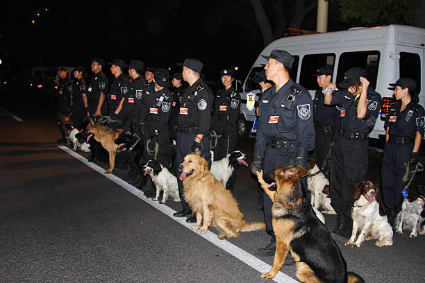 polícia led cães se preparar para a verificação de segurança - editorial safety in a row industry - fotografias e filmes do acervo