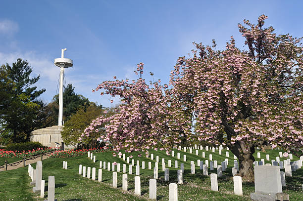 Arlington National Cemetery Arlington, Virginia, USA - April 8, 2012. Tombstones and U.S.S. Maine Memorial at Arlington National Cemetery. Arlington National Cemetery covers an area of 624 acres and is the burial site for the remains of over 320,000 servicemen and women who gave up their lives for the United States. It also contains grave sites for some famous people in US history like President John F. Kennedy and his brother. arlington cemetery in spring stock pictures, royalty-free photos & images