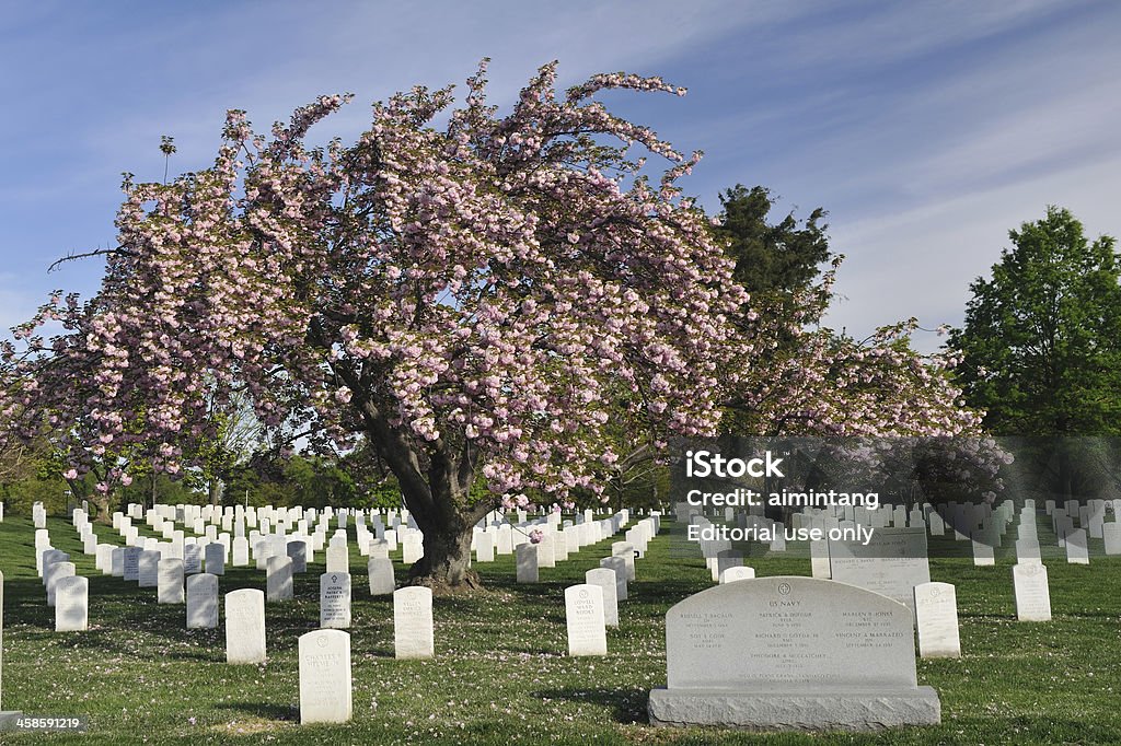 Arlington National Cemetery - Lizenzfrei Arlington - Virginia Stock-Foto