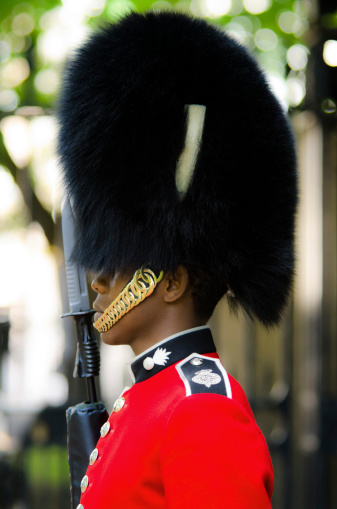 London, United Kingdom - August 7, 2011: A royal guard stands at attention with gun in hand outside Clarence House, home to the British royal family.