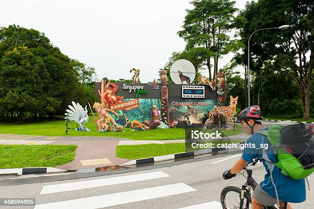 Singapur Zoo I Safari Albo Wybierzcie - zdjęcia stockowe i więcej obrazów Alfabet - Alfabet, Drewno - Tworzywo, Dzikie zwierzęta