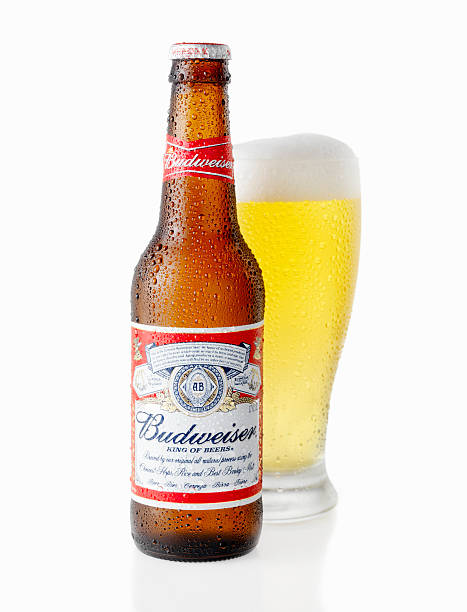 ice cold botella y vaso de cerveza budweiser - budweiser fotografías e imágenes de stock