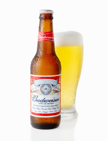 Calgary, Canada - April 5, 2011: A 12oz, American Bottle and Glass of Budweiser Beer shot in Studio on white with Natural Reflection, Budweiser is made by the Anheuser-Busch Company.