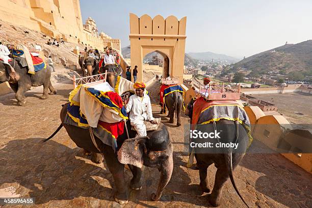 Elefante Indio Convoy Palacio Amber De Jaipur Foto de stock y más banco de imágenes de Acera - Acera, Adulación, Animal