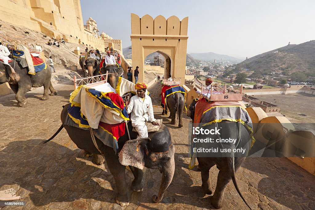 Éléphant indien Convoi Palais d'Amber de Jaipur - Photo de Adulation libre de droits