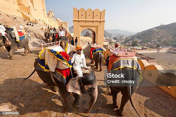 Photo libre de droit de Éléphant Indien Convoi Palais Damber De Jaipur banque d'images et plus d'images libres de droit de Adulation - Adulation, Allée cavalière, Amber Fort