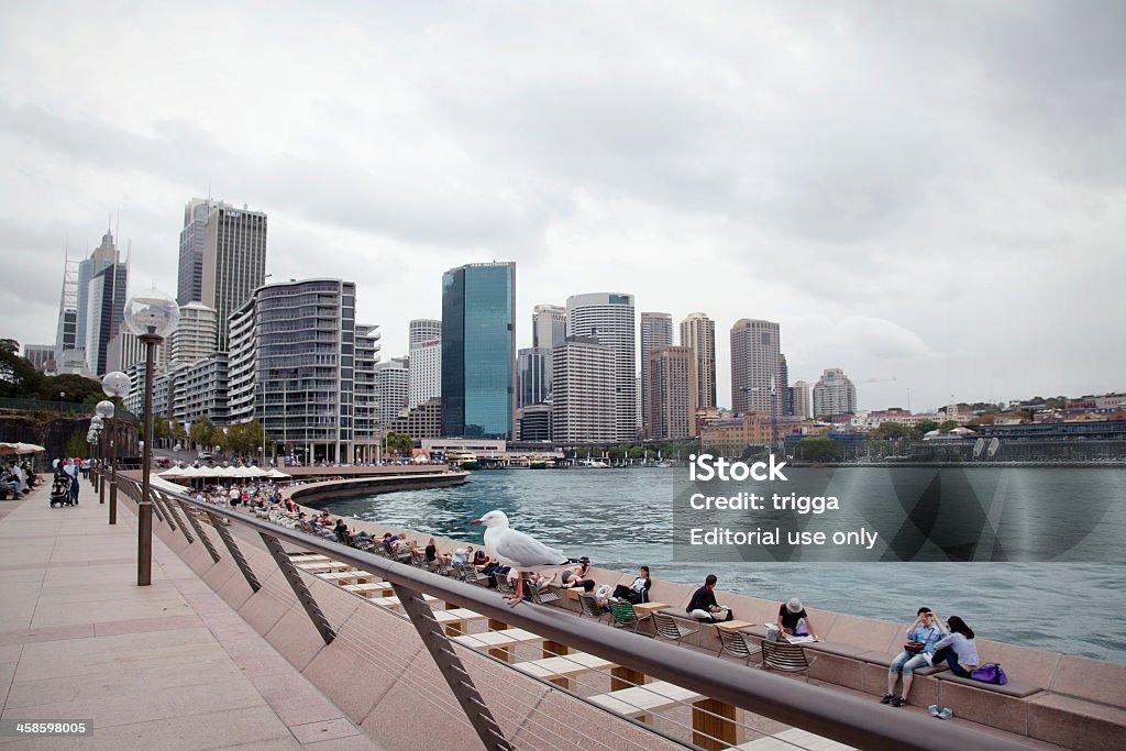 Vista della città e del porto di Sydney Opera House - Foto stock royalty-free di Acqua
