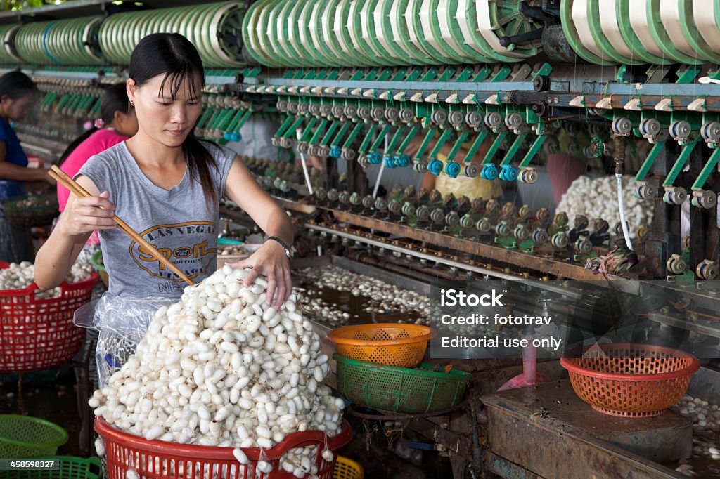 Вьетнамская женщина работает в шелка завод, Далат, Вьетнам - Стоковые фото Шелковичный червь роялти-фри
