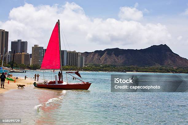 Red Veleiro Na Praia Do Waikiki - Fotografias de stock e mais imagens de Areia - Areia, Atividade Recreativa, Caraterísticas da Costa