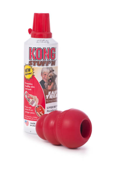 kong dog stuff