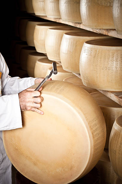 Parma, Emilia Romagna, Italy - September, 28th 2009: An expert is ready to tapping the Parmesan cheese at various points with his hammer, while listening carefully to the way the crust takes the blows. Parmesan cheese (Parmigiano Reggiano) wheels are laid out in long rows in the silent maturation rooms.