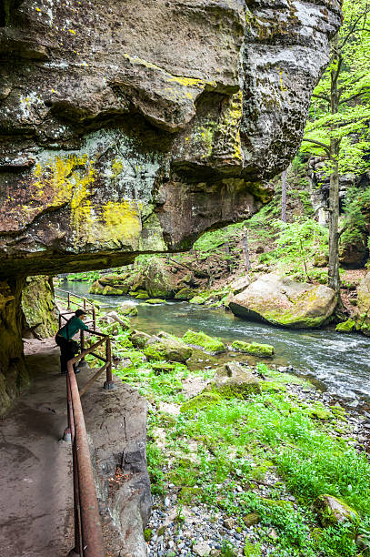 rio kamenice - narodni park imagens e fotografias de stock