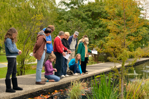 Washington DC, USA - October 22, 2011: A multi-generational family visits the National Arboretum Koi pond where the children feed the fish and the parents listen to a guide explaining features of the habitat.