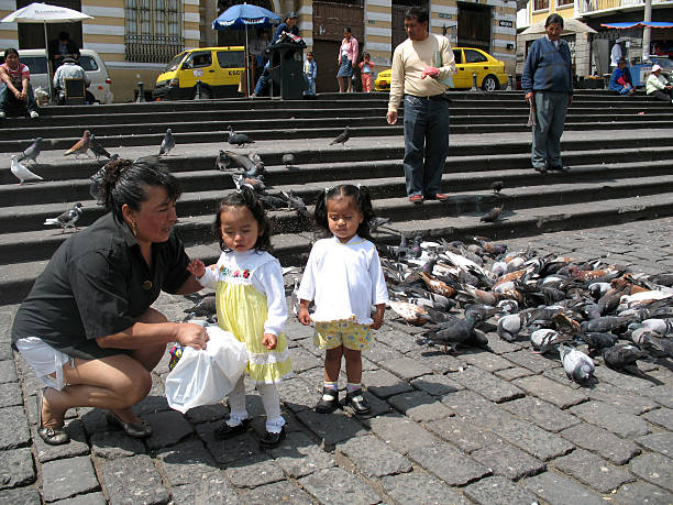 Tourists among the pigeons at a Square in Quito "Quito, Ecuador - November 20, 2008: Tourists among the pigeons at San Francisco Church Square in Quito. A mother kneels with her twin daughters as the children feed the pigeons. Other visitors are pictured mingling in the background." pigeon family stock pictures, royalty-free photos & images