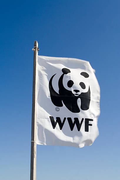 Bandeira da WWF contra o céu azul - foto de acervo