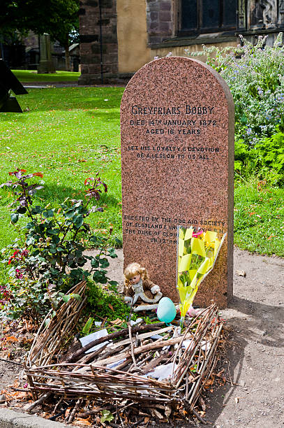 Greyfriars Bobby Edinburgh, Scotland - August 5, 2010: A tombstone for Bobby in Greyfriars Kirkyard.  Greyfriars Bobby was a Skye Terrier whose story became famous in Edinburgh after he reportedly spent 14 years guarding the grave of his owner, John Gray, until he died himself on January 14th, 1872.  This stone was erected in 1981 and visitors frequently leave sticks, dog toys, flowers, and other gifts. named animal stock pictures, royalty-free photos & images