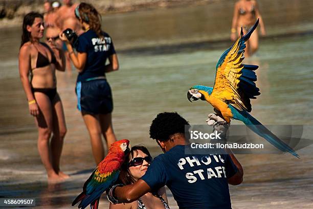 Settore Del Turismo In Repubblica Dominicana - Fotografie stock e altre immagini di Penisola di Samaná - Penisola di Samaná, Spiaggia, Ambientazione esterna