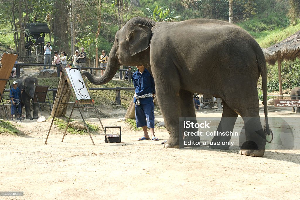 Elephant in 페인팅 - 로열티 프리 가축 스톡 사진