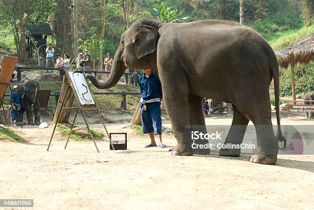 Elephant In 페인팅 가축에 대한 스톡 사진 및 기타 이미지 - 가축, 개념, 관광객