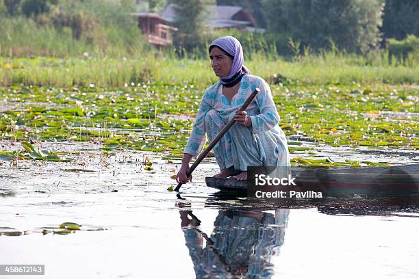 Jovem Mulher No Shikara Barco Lago Dal Srinagar - Fotografias de stock e mais imagens de Adulto - Adulto, Agachar-se, Beleza natural