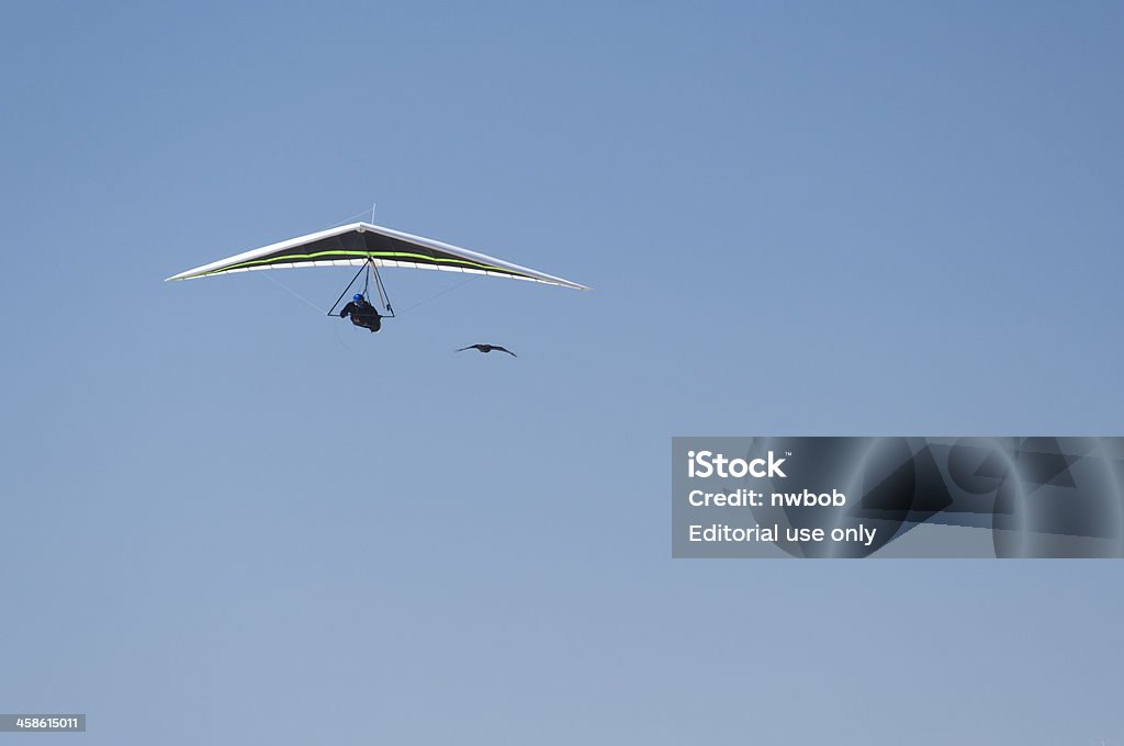 Hanglider siguientes crow - Foto de stock de Actividad libre de derechos