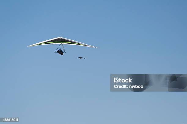 Hanglider Seguintes Crow - Fotografias de stock e mais imagens de Admirar a Vista - Admirar a Vista, Asa Delta, Asa-delta