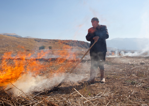 Burdur, Turkey - October 23, 2011: The field behind the burn is surrounded by natural habitat. Prescribed or controlled burning is a technique sometimes used in forest management, farming, or prairie restoration. Fire is a natural part of both forest and grassland ecology and controlled fire can be a tool for stimulating germination.