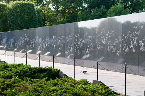 Washington DC, USA - June 17, 2012: Early on a summer morning before tourist crowds arrive, a squirrel stands on a walkway at the Korean War Memorial. The wall contains 2400 etched images depicting various aspects of the war.