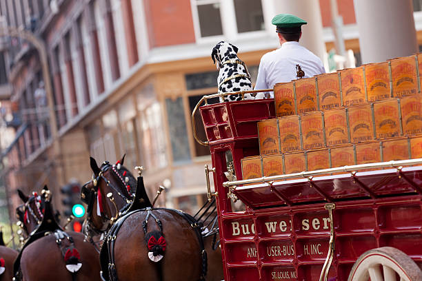 rear side view of Anheuser-Busch beer wagon St. Louis, Missouri, USA - July 2, 2011: Rear side view of a traditional beer wagon used by Anheuser-Busch. As seen prior to the start of the 2011 Fourth of July parade in downtown St. Louis, Missouri, the Budweiser brand name is clearly visible as are the clydesdales, the team driver and dalmatian.  Anheuser-Busch is a wholly owner subsidiary of Anheuser-Busch InBev. horse cart photos stock pictures, royalty-free photos & images