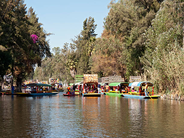Trajinera boats in Xochimilco, Mexico City Xochimilco, Mexico City, Mexico - January 23, 2011: Pleasure boats on a canal in Xochimilco. Xochimilco is a suburb of mexico City with many canals. The pleasure boats called Trajineras can be rented hourly. It is a famous pastime for parties and families who bring food and drink. trajinera stock pictures, royalty-free photos & images
