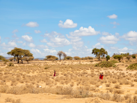 Namanga, Kenya - February 19, 2012: Masai children. Landscape of dry bush and dirt, three small masai children in red clothes, two together, one slightly away from them. In background blue sky with scattered cloud. Morning sun.