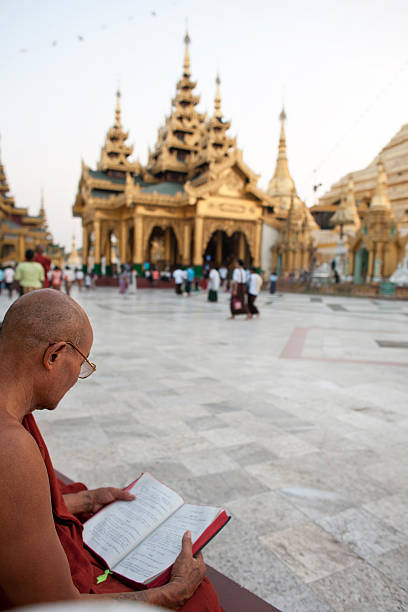 монах-послушник чтение на schwedagon пагода, - buddhism monk book zen like стоковые фото и изображения