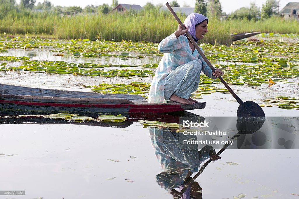 Femme indienne pagayer sur le Lac Dal Shrinagar - Photo de Accroupi libre de droits