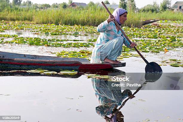 Photo libre de droit de Femme Indienne Pagayer Sur Le Lac Dal Shrinagar banque d'images et plus d'images libres de droit de Accroupi - Accroupi, Adulte, Adulte d'âge moyen