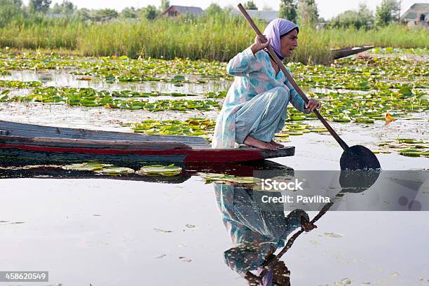 Mulher Indiana Remar No Lago Dal Srinagar - Fotografias de stock e mais imagens de Adulto - Adulto, Adulto de idade mediana, Agachar-se