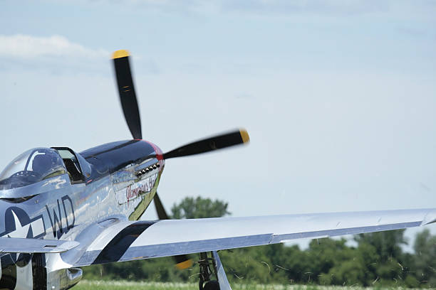 P-51D Mustang WWII Military Fighter Airplane Kicking Up Swirling Grass Geneseo, New York, USA - July 12, 2009: The Glamorous Gal, a P-51D Mustang WWII vintage military airplane warming up on a swirling grass runway at the Geneseo Military Air Show. p51 mustang stock pictures, royalty-free photos & images