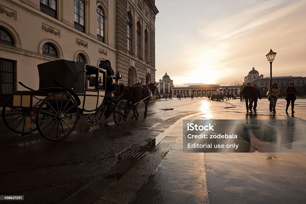 Carruaje tirado por caballos en el Palacio Hofburg y tradicional Fiaker Stephansdom, Viena - Foto de stock de Viena - Austria libre de derechos