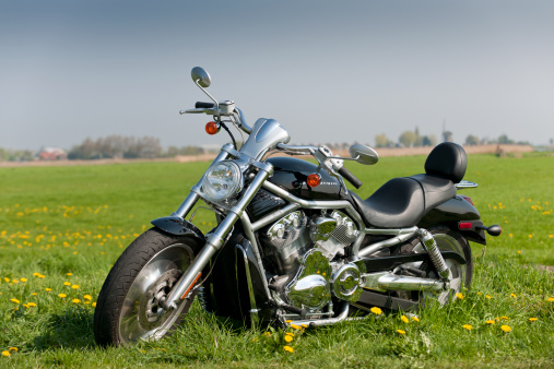 Lisse, The Netherlands - April 20, 2011: Harley Davidson Softaile Deluxe motorcycle in meadow. Harley Davidson is an American heavyweight motorcycle manufacturer, founded in 1903 by William Harley and Athur Davidson in Milwaukee, Wisconsin USA. The motorcycles are designed for cruising on highways and are also named Harleys