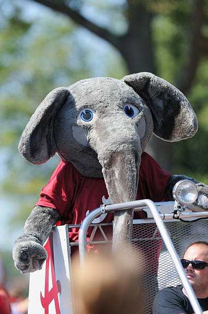 big al'de rentrer au bercail parade - university of alabama at tuscaloosa photos et images de collection