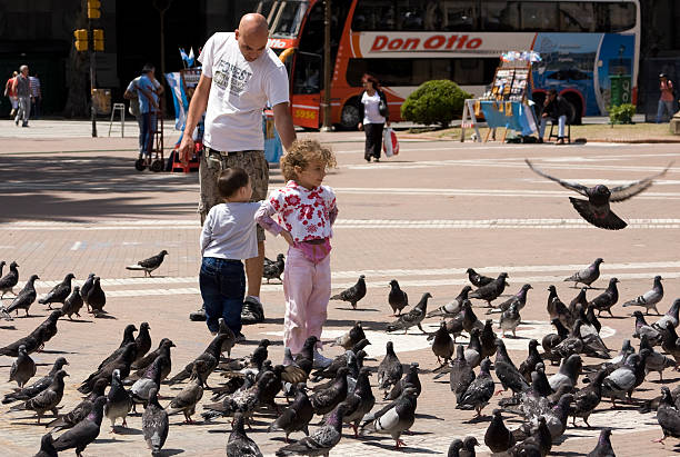 Pigeons of Plaza de Mayo Buenos Aires, Argentina - October 29, 2011: A father and his two small children, walking through Plaza de Mayo. They are entertained with the pigeons. pigeon family stock pictures, royalty-free photos & images