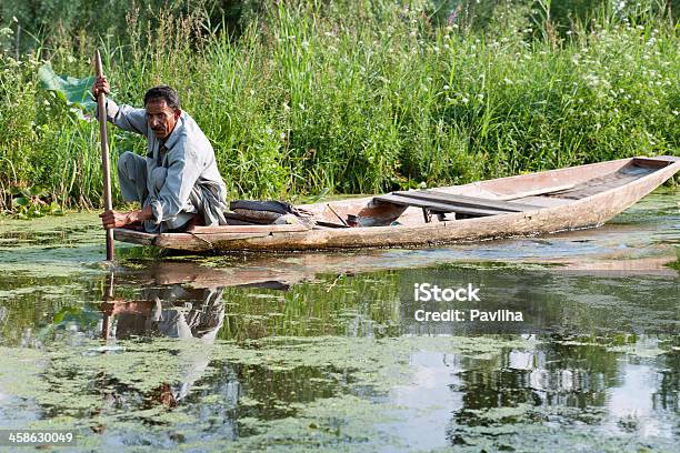 Indian In Shikara Boot Auf See Dal Srinagar Stockfoto und mehr Bilder von Asien - Asien, Bewegung, Editorial