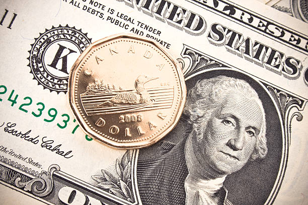 canadian loonie on american currency - endollarsmynt kanadensiskt mynt bildbanksfoton och bilder